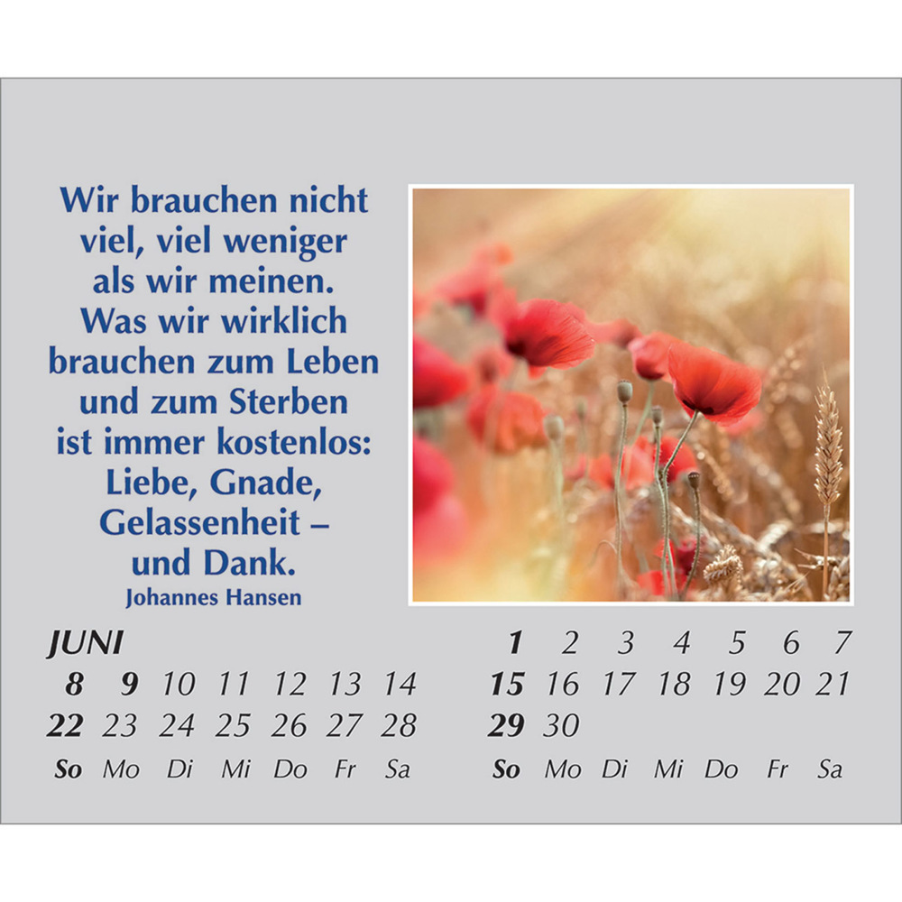 Bild: 9783754861554 | Hoffnung für jeden Tag 2025 | Kalender | Spiralbindung. Spiralbindung