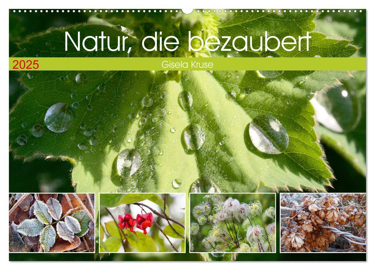 Cover: 9783383996276 | Natur, die bezaubert (Wandkalender 2025 DIN A2 quer), CALVENDO...