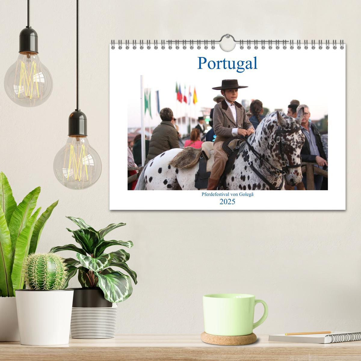 Bild: 9783435426348 | Portugal - Pferdefestival von Golegã (Wandkalender 2025 DIN A4...