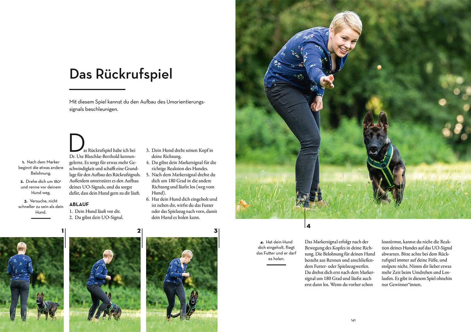 Bild: 9783440167199 | Marker-Training für Hunde | Ulrike Seumel | Taschenbuch | 176 S.