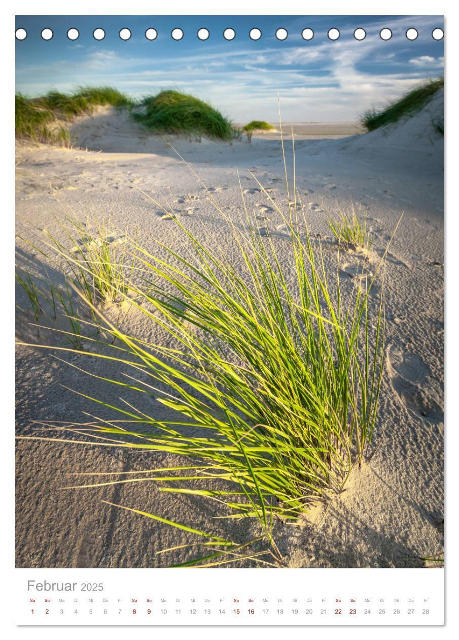 Bild: 9783435960606 | Amrum - Das Gesicht der Nordsee (Tischkalender 2025 DIN A5 hoch),...