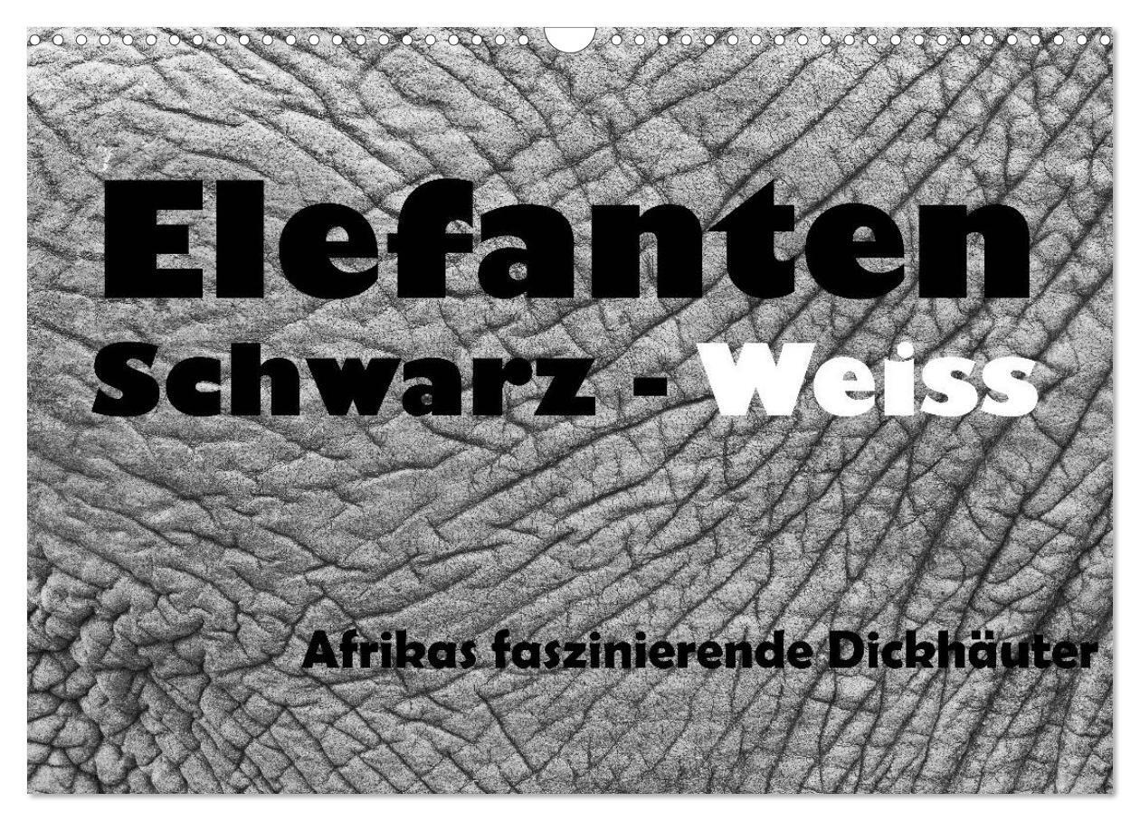 Cover: 9783435733873 | Elefanten Schwarz - Weiss (Wandkalender 2025 DIN A3 quer), CALVENDO...