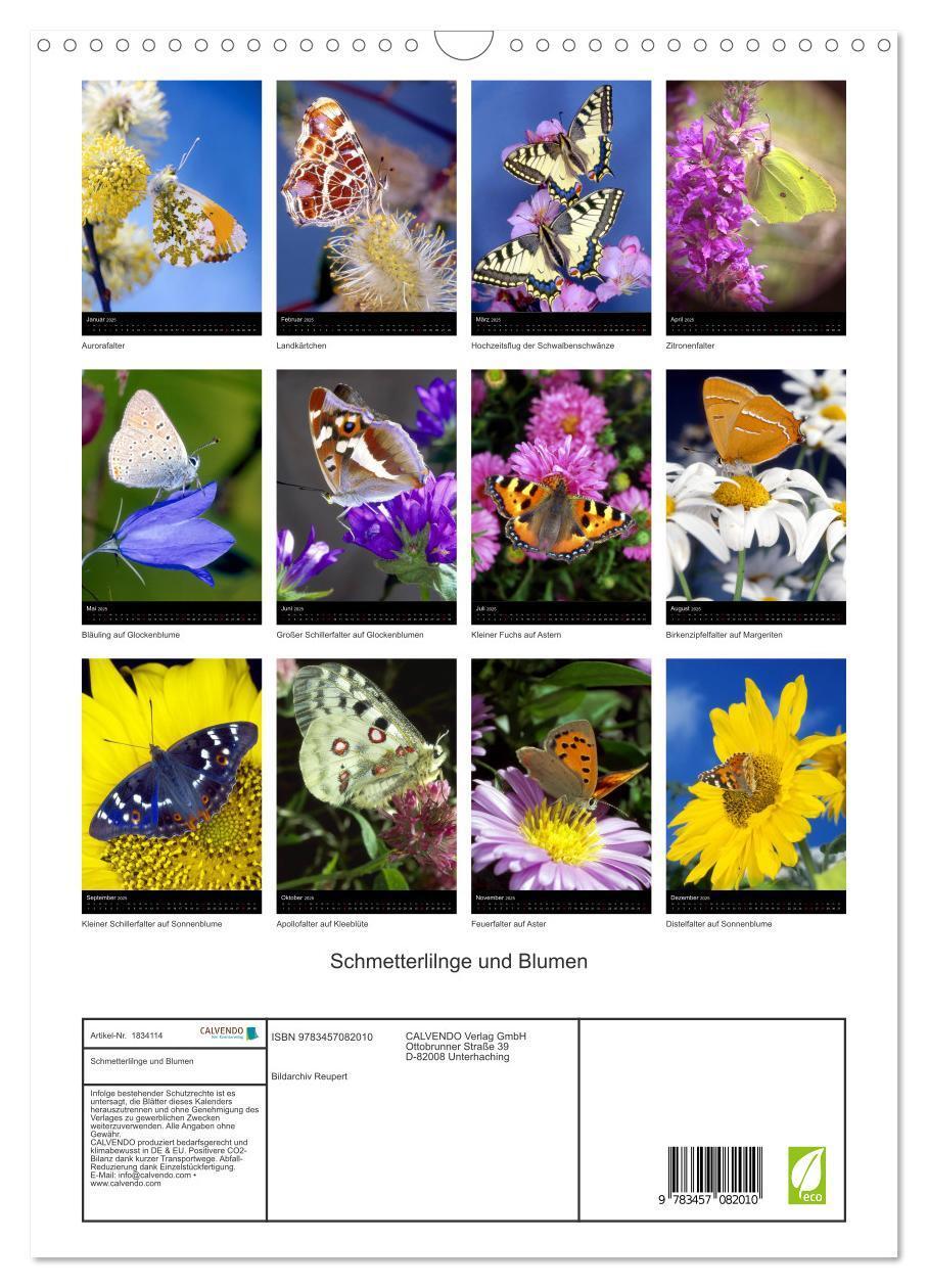 Bild: 9783457082010 | Schmetterlilnge und Blumen (Wandkalender 2025 DIN A3 hoch),...