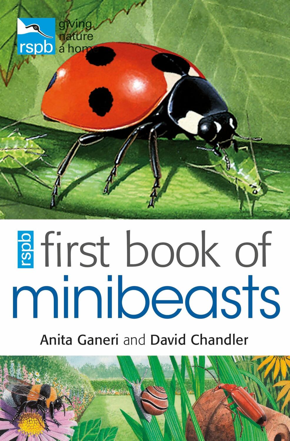 Cover: 9781408137154 | RSPB First Book Of Minibeasts | Anita Ganeri (u. a.) | Taschenbuch