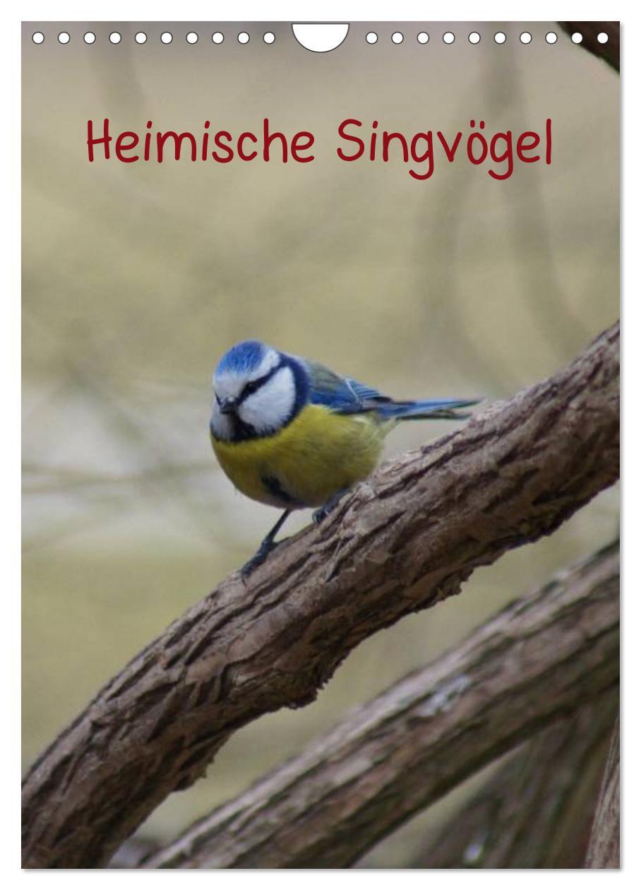 Cover: 9783457086025 | Heimische Singvögel (Wandkalender 2025 DIN A4 hoch), CALVENDO...