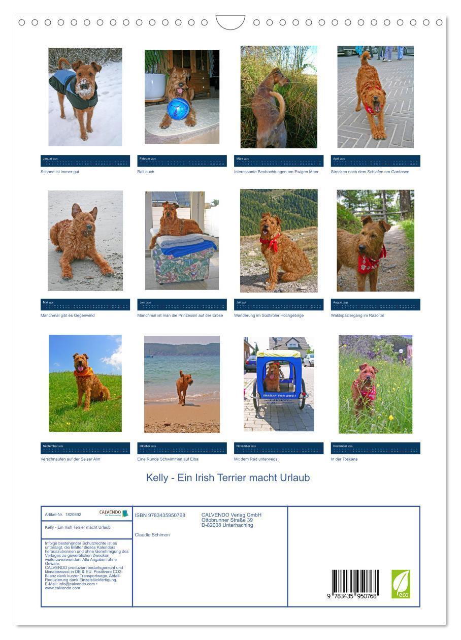 Bild: 9783435950768 | Kelly - Ein Irish Terrier macht Urlaub (Wandkalender 2025 DIN A3...