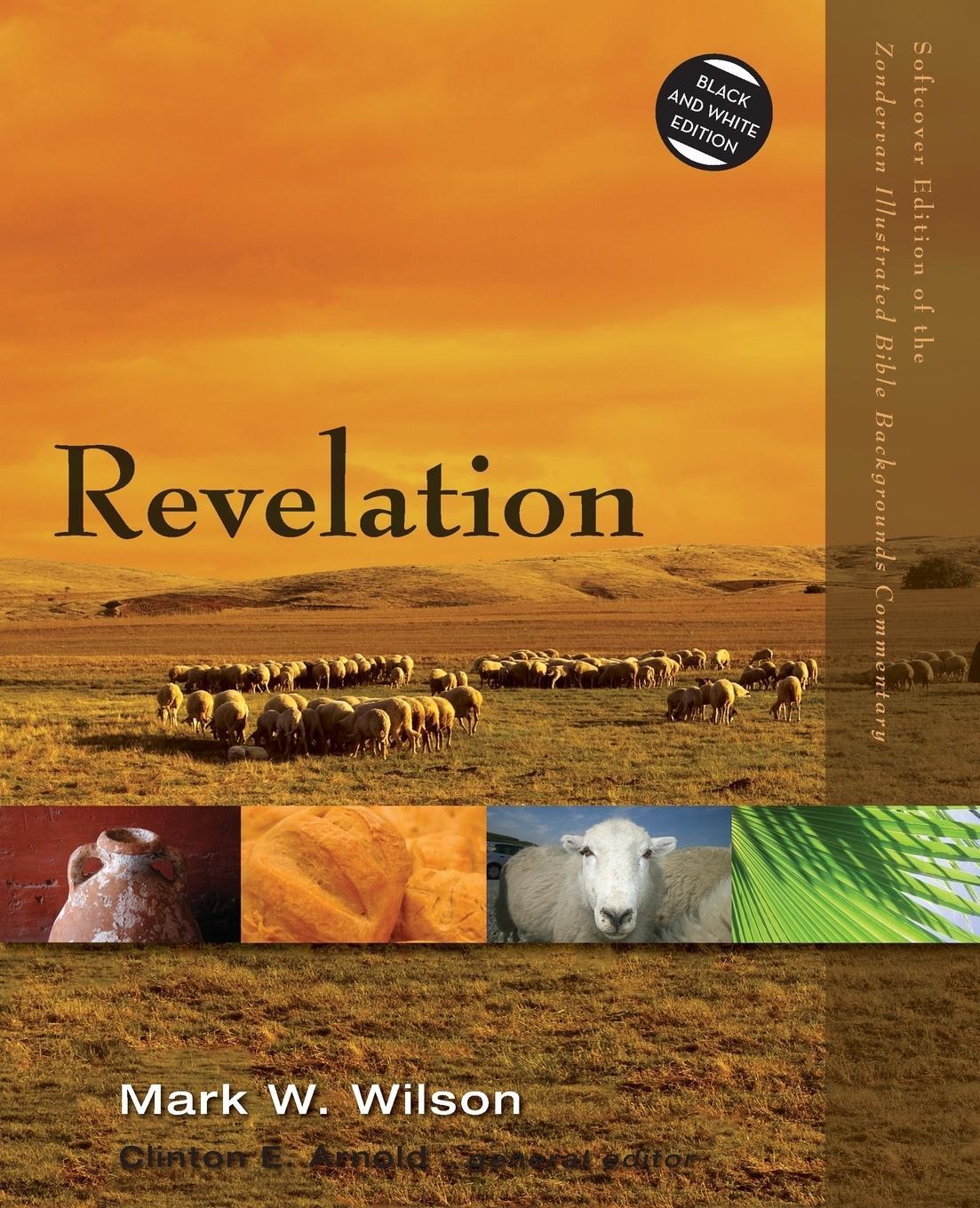 Cover: 9780310523093 | Revelation | Mark W. Wilson | Taschenbuch | Paperback | Englisch