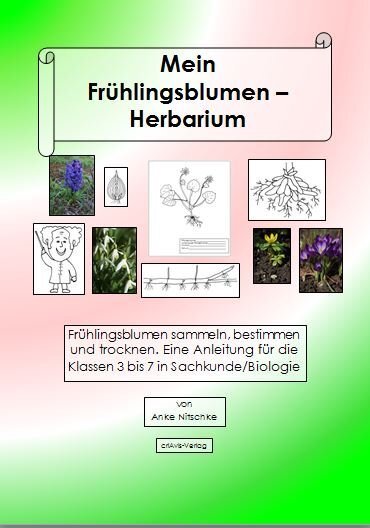 Cover: 9783944341477 | Mein Frühlingsblumen-Herbarium | Anke Nitschke | Taschenbuch | Deutsch