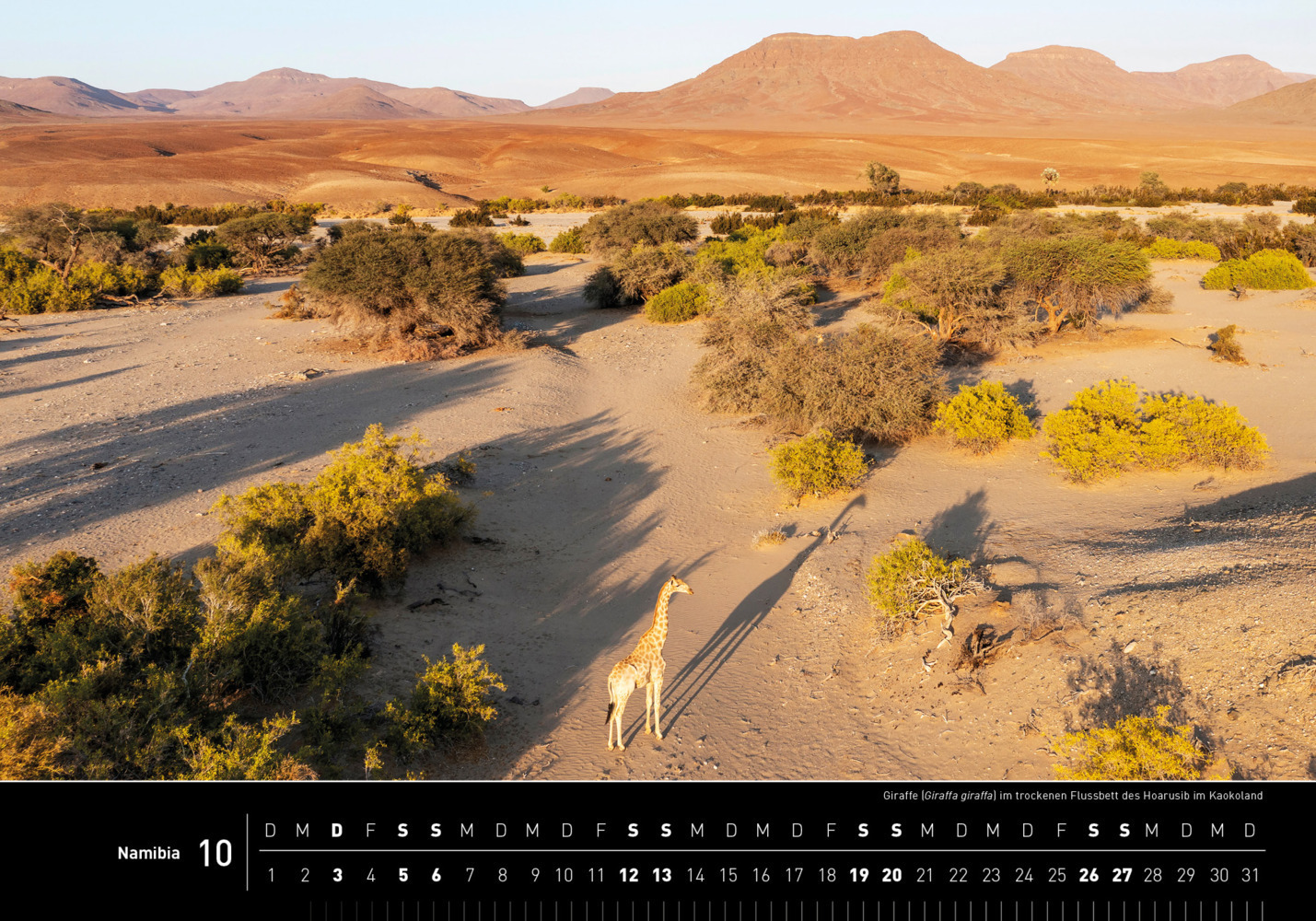 Bild: 9783968553481 | 360° Namibia Premiumkalender 2024 | Thomas Dreßler | Kalender | 2024