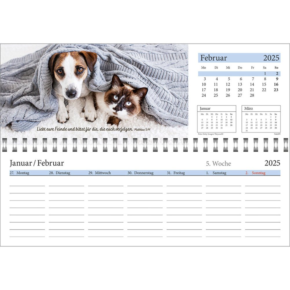 Bild: 9783754825457 | In deine Hand leg ich den Tag 2025 | Wochen-Tischkalender | Kalender