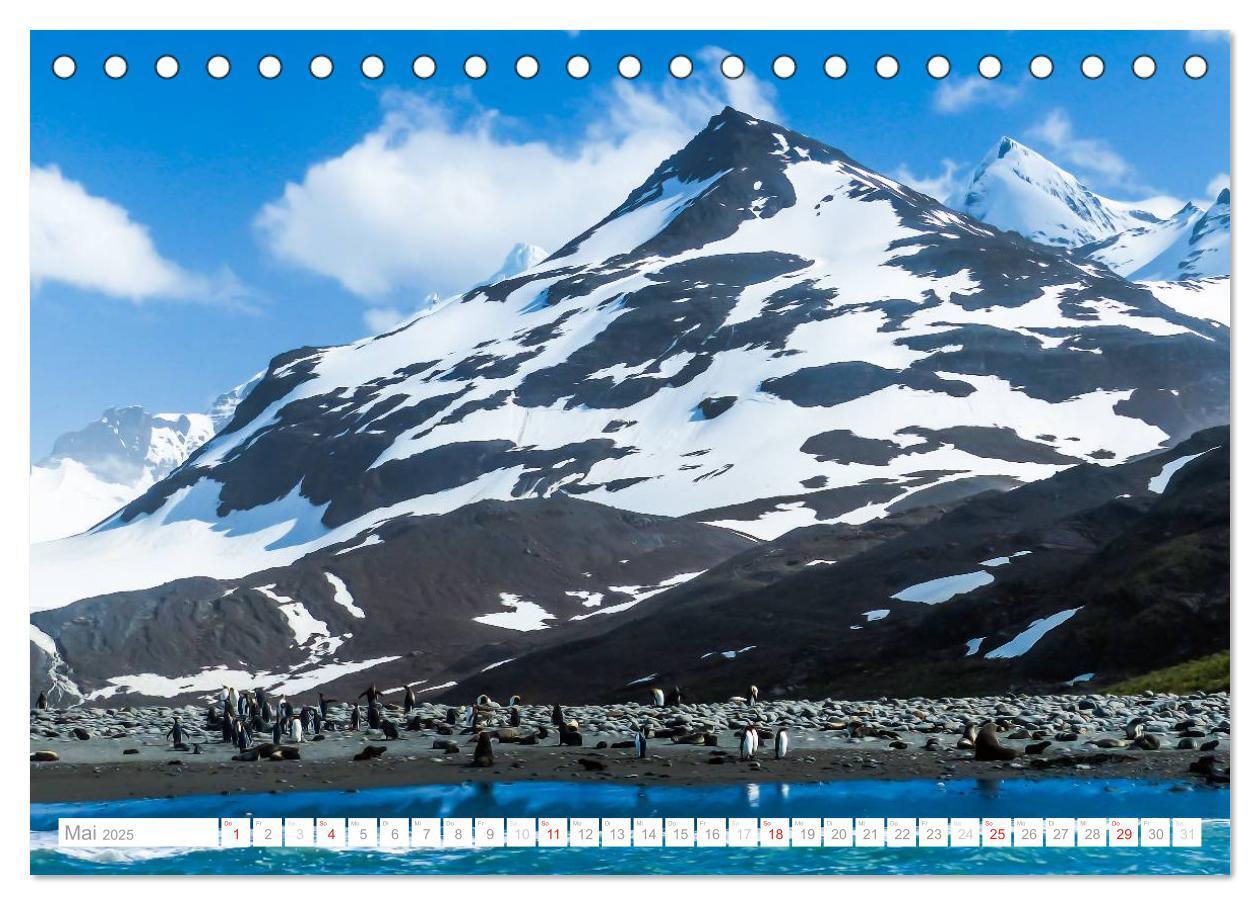 Bild: 9783435801190 | Antarktis - Das Reich der Pinguine (Tischkalender 2025 DIN A5...