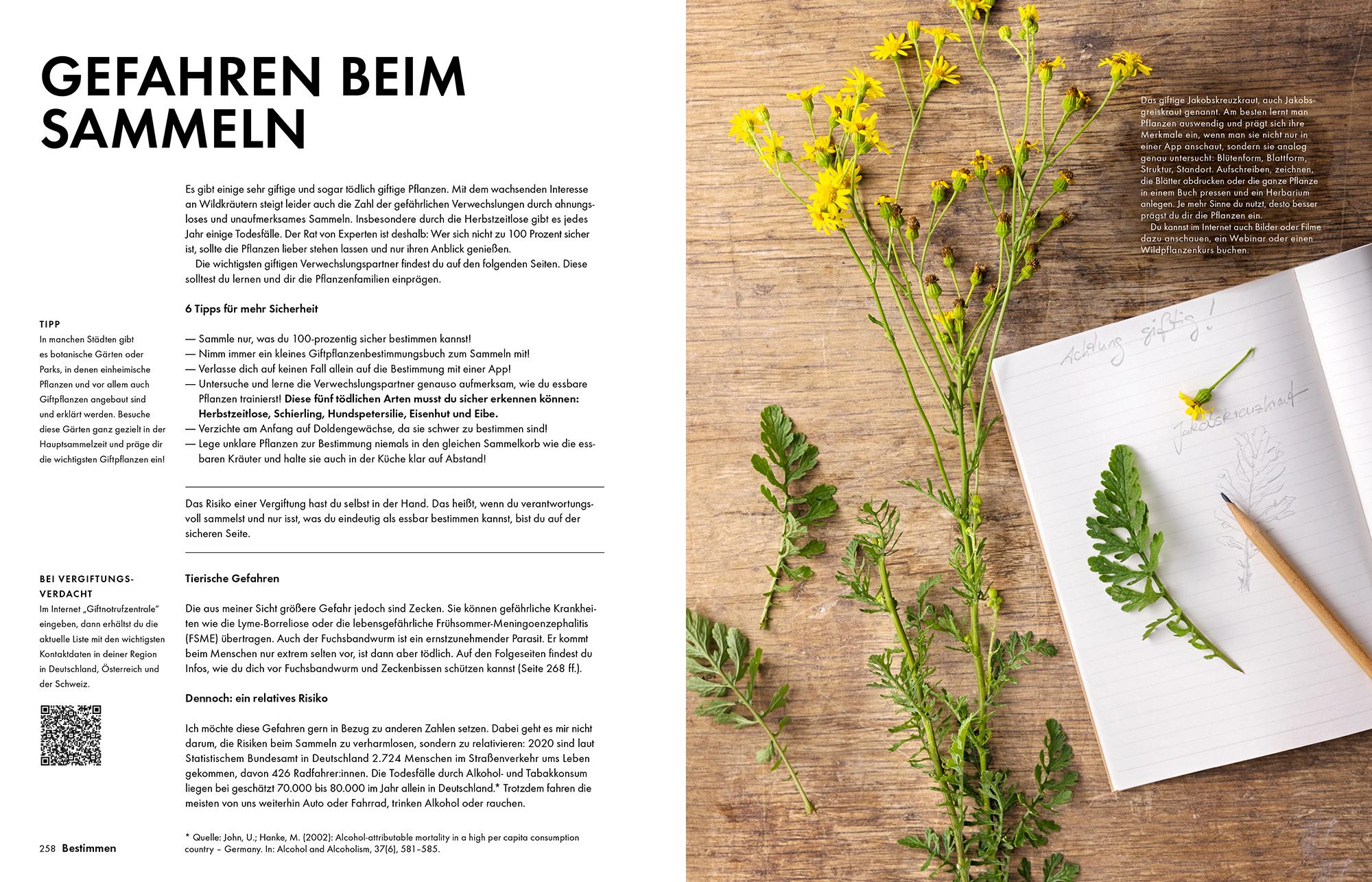 Bild: 9783954532339 | Wildkräuter - Bestimmen, Sammeln, Zubereiten | Martina Merz | Buch