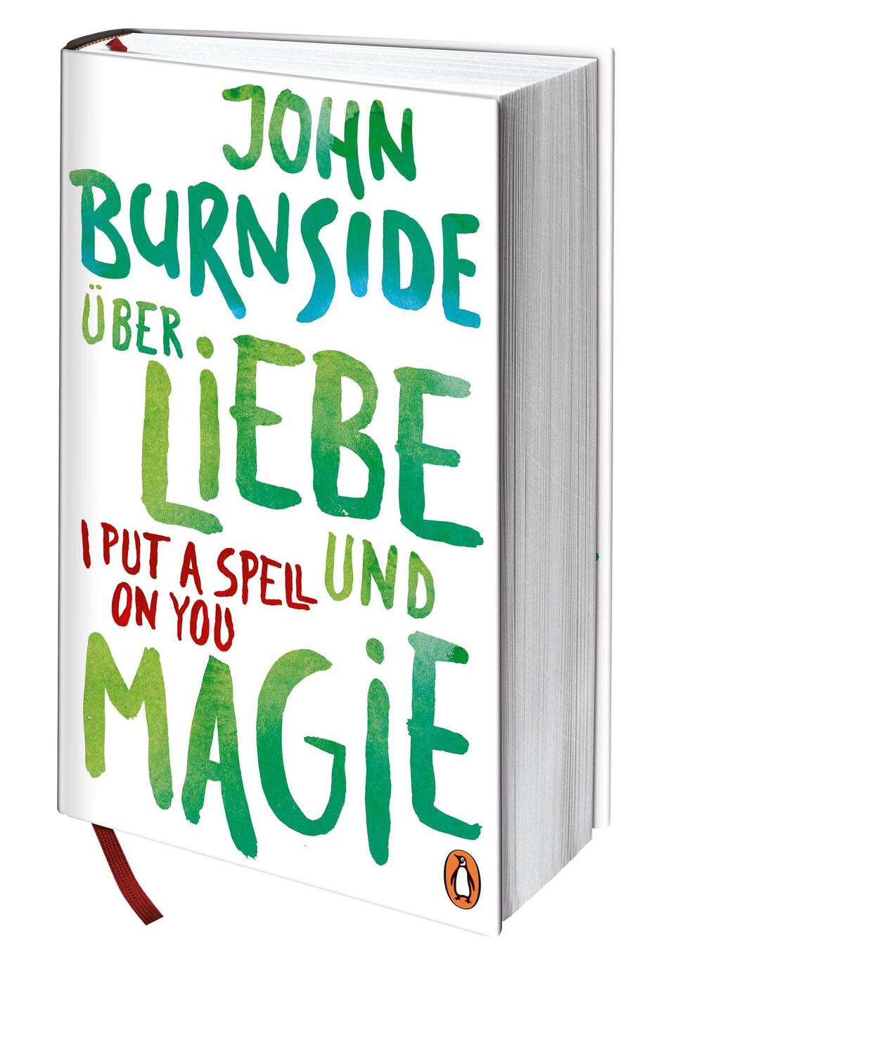 Bild: 9783328600893 | Über Liebe und Magie - I Put a Spell on You | John Burnside | Buch