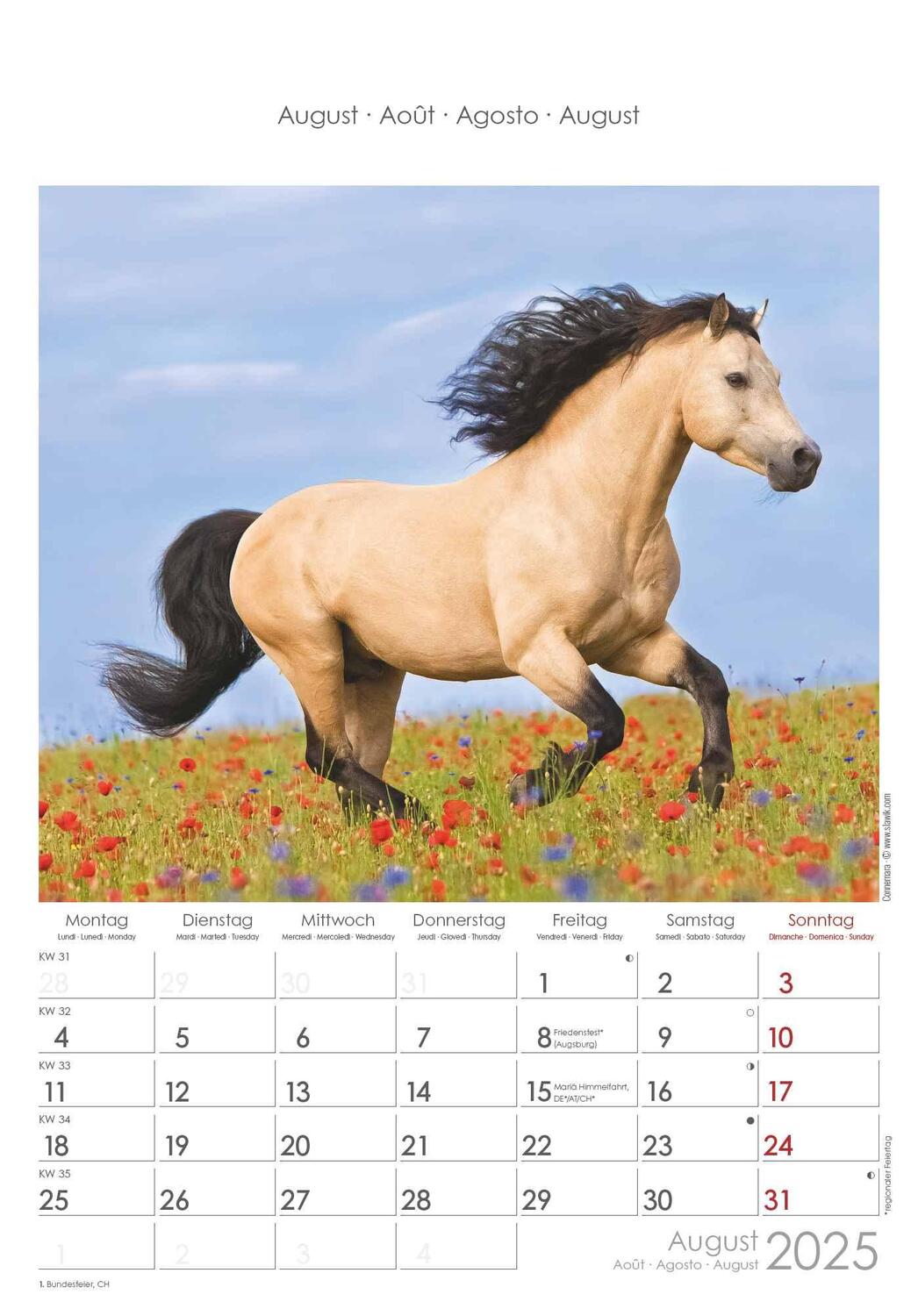 Bild: 4251732341022 | Pferde 2025 - Bildkalender 23,7x34 cm - Kalender mit Platz für...