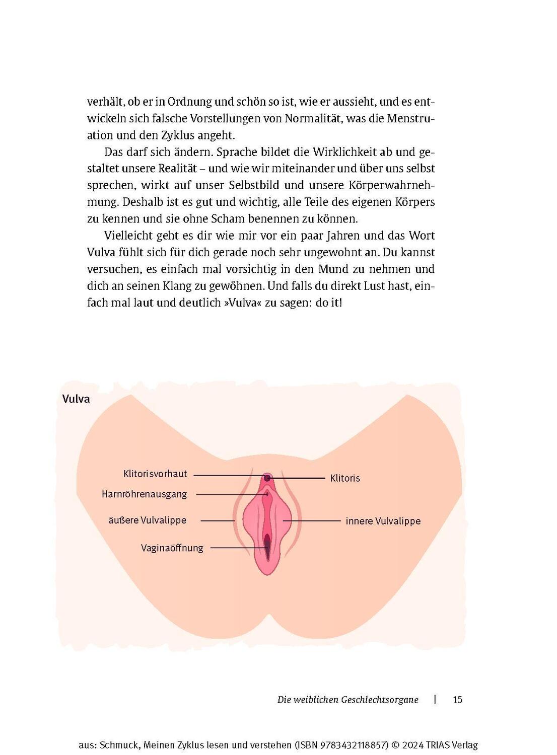 Bild: 9783432118857 | Meinen Zyklus lesen und verstehen | Anne Schmuck | Taschenbuch | 2024