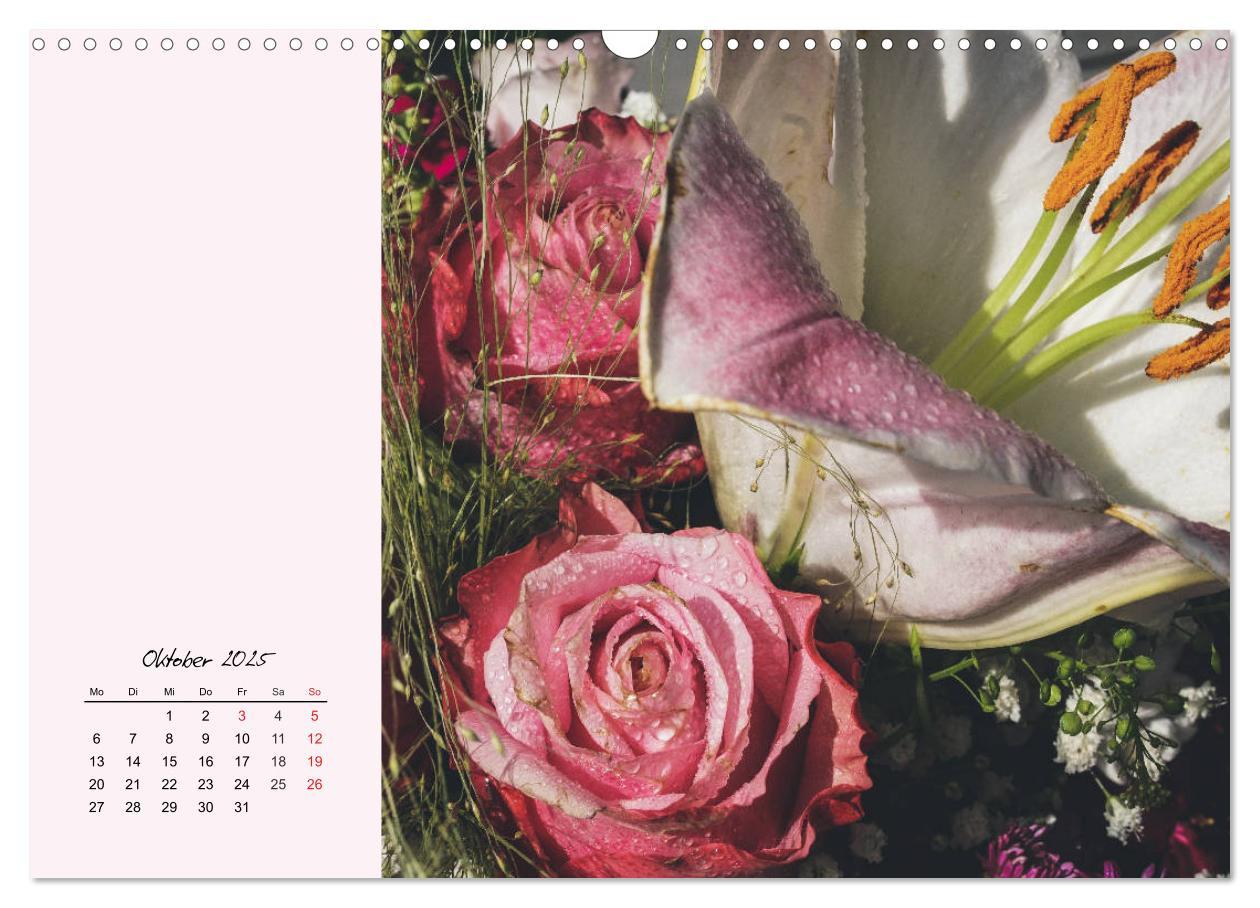 Bild: 9783435198566 | Rosen. Charmante und edle Königinnen (Wandkalender 2025 DIN A3...