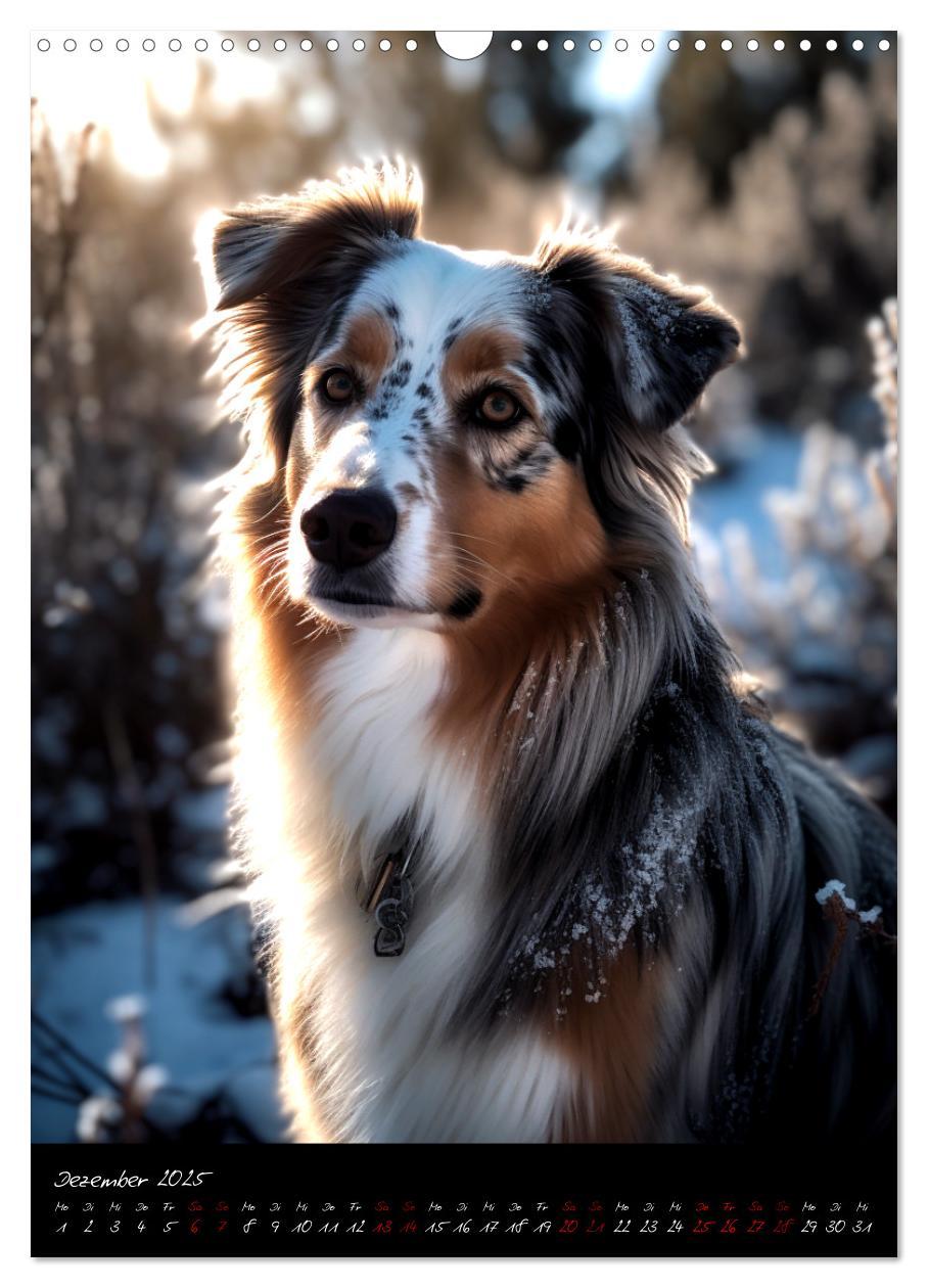 Bild: 9783435876648 | Australian Shepherd (Wandkalender 2025 DIN A3 hoch), CALVENDO...