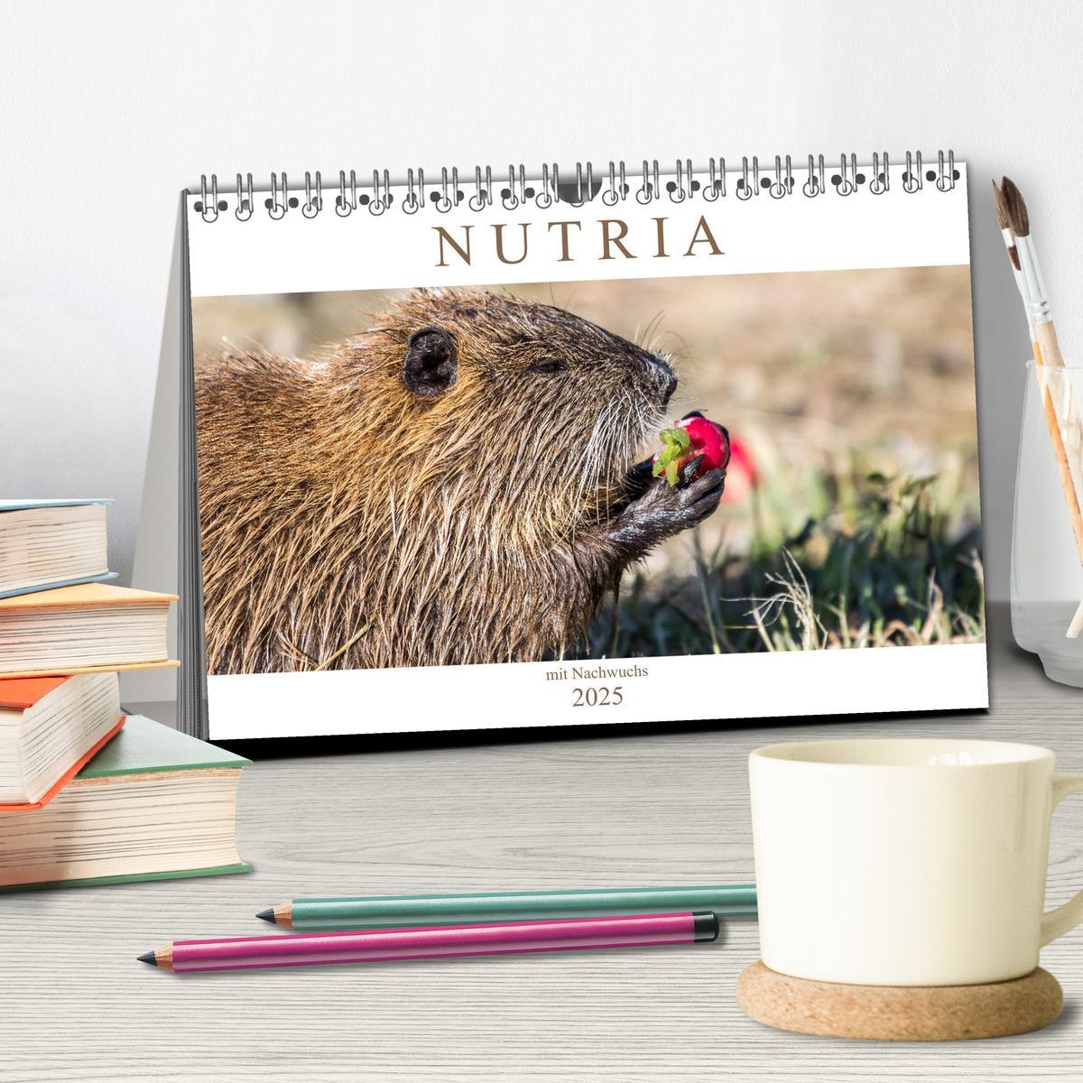 Bild: 9783435312436 | NUTRIA mit Nachwuchs (Tischkalender 2025 DIN A5 quer), CALVENDO...