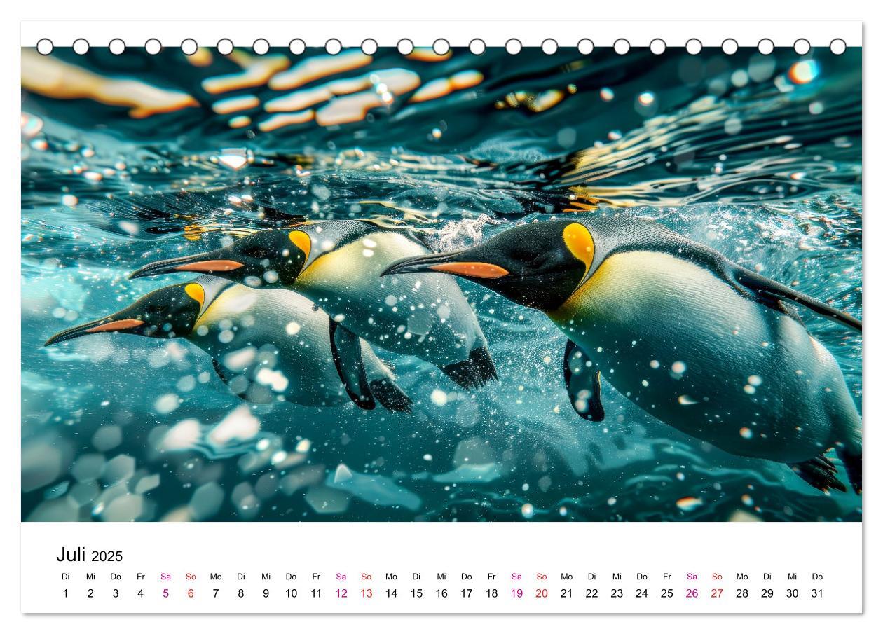 Bild: 9783457164471 | Maritim pur - Pinguine (Tischkalender 2025 DIN A5 quer), CALVENDO...