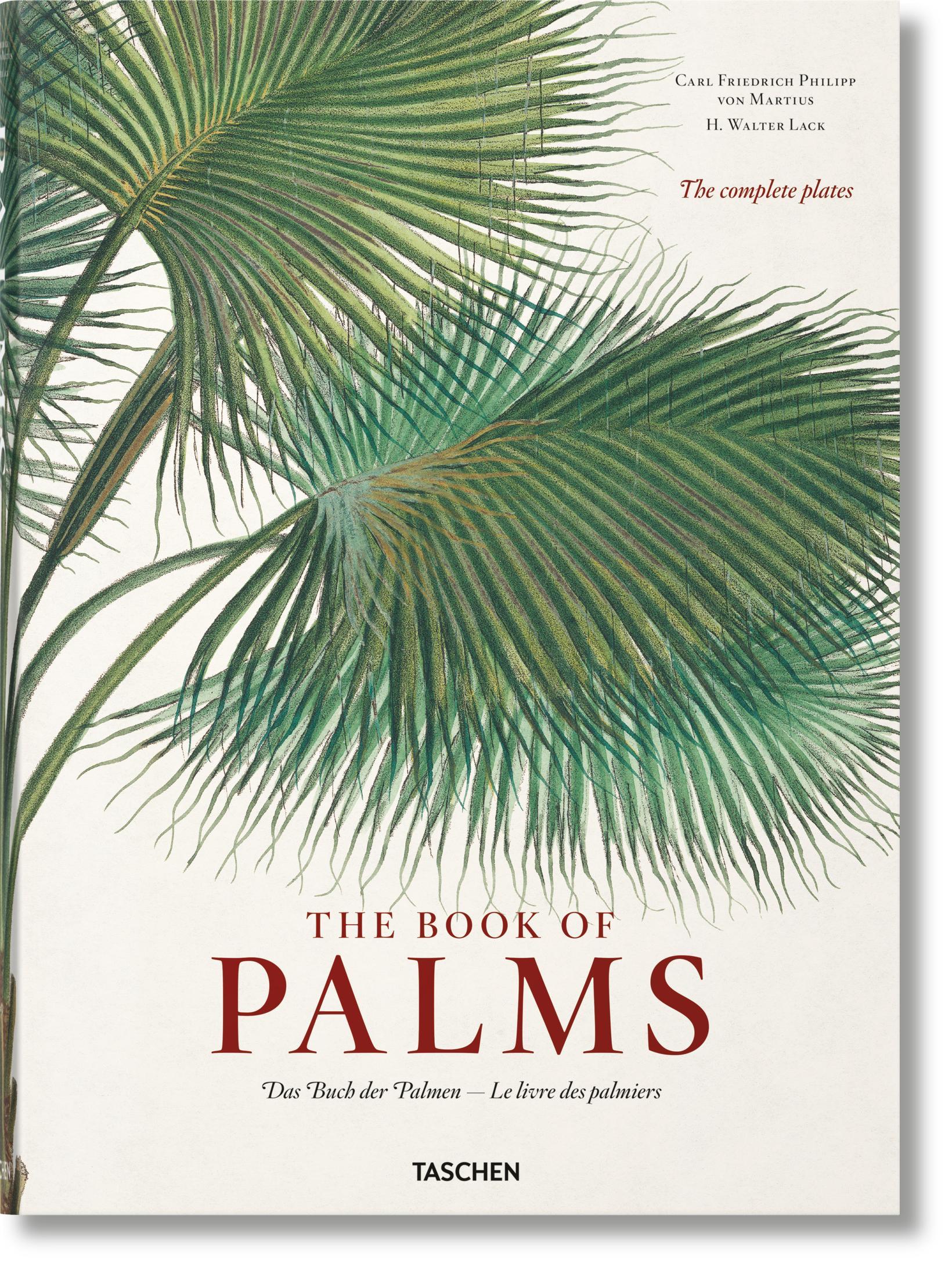 Cover: 9783836566148 | Martius. The Book of Palms | H. Walter Lack | Buch | GER, Hardcover