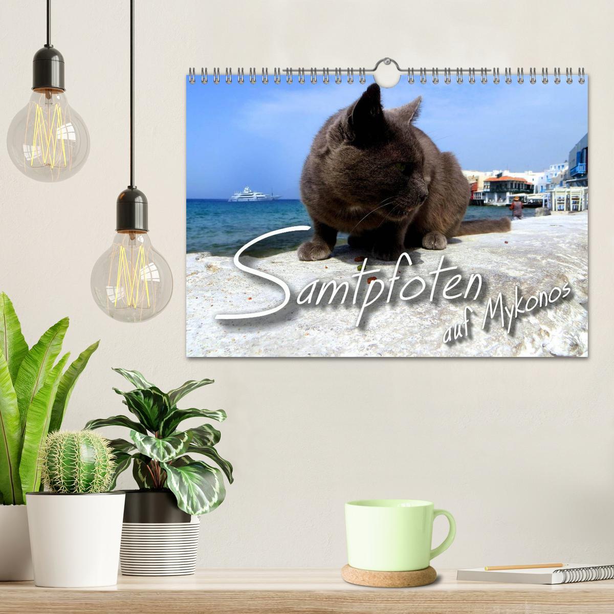 Bild: 9783435663644 | SAMTPFOTEN auf Mykonos (Wandkalender 2025 DIN A4 quer), CALVENDO...