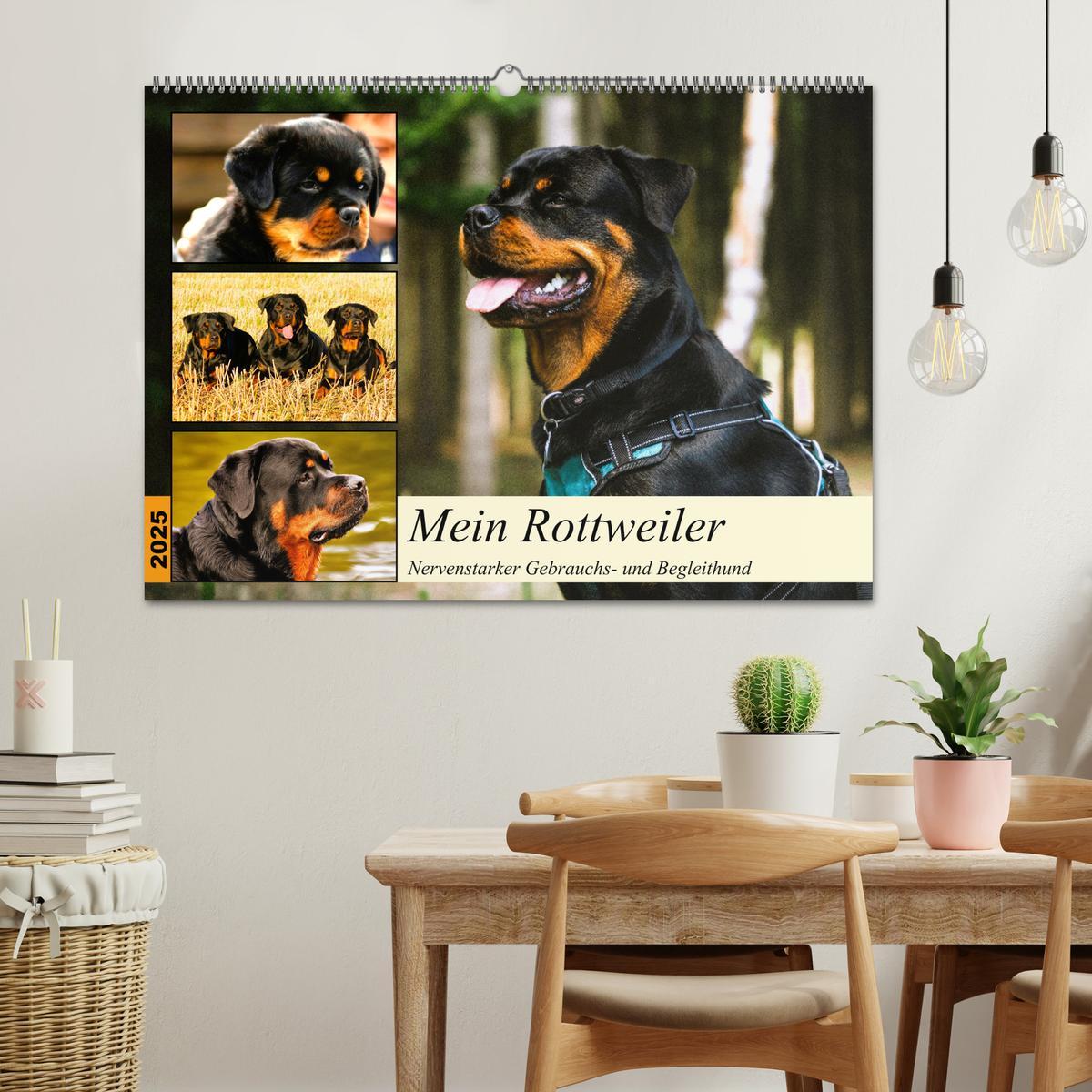 Bild: 9783383947841 | Mein Rottweiler. Nervenstarker Gebrauchs- und Begleithund...