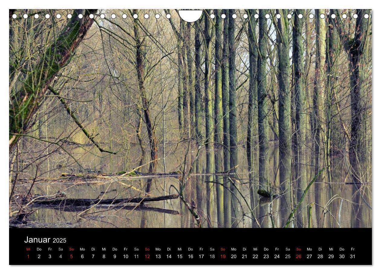 Bild: 9783435525584 | Urdenbach / Odebach (Wandkalender 2025 DIN A4 quer), CALVENDO...