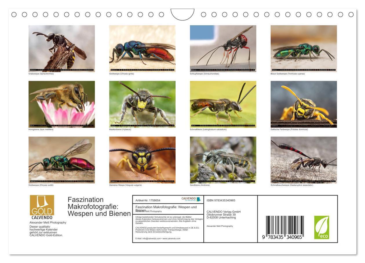 Bild: 9783435340965 | Faszination Makrofotografie: Wespen und Bienen (Wandkalender 2025...