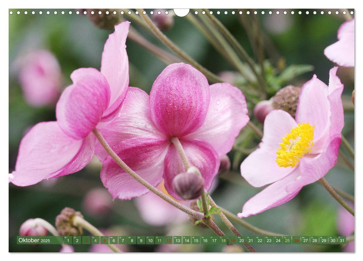 Bild: 9783383823794 | Im Reich der Blüten (Wandkalender 2025 DIN A3 quer), CALVENDO...