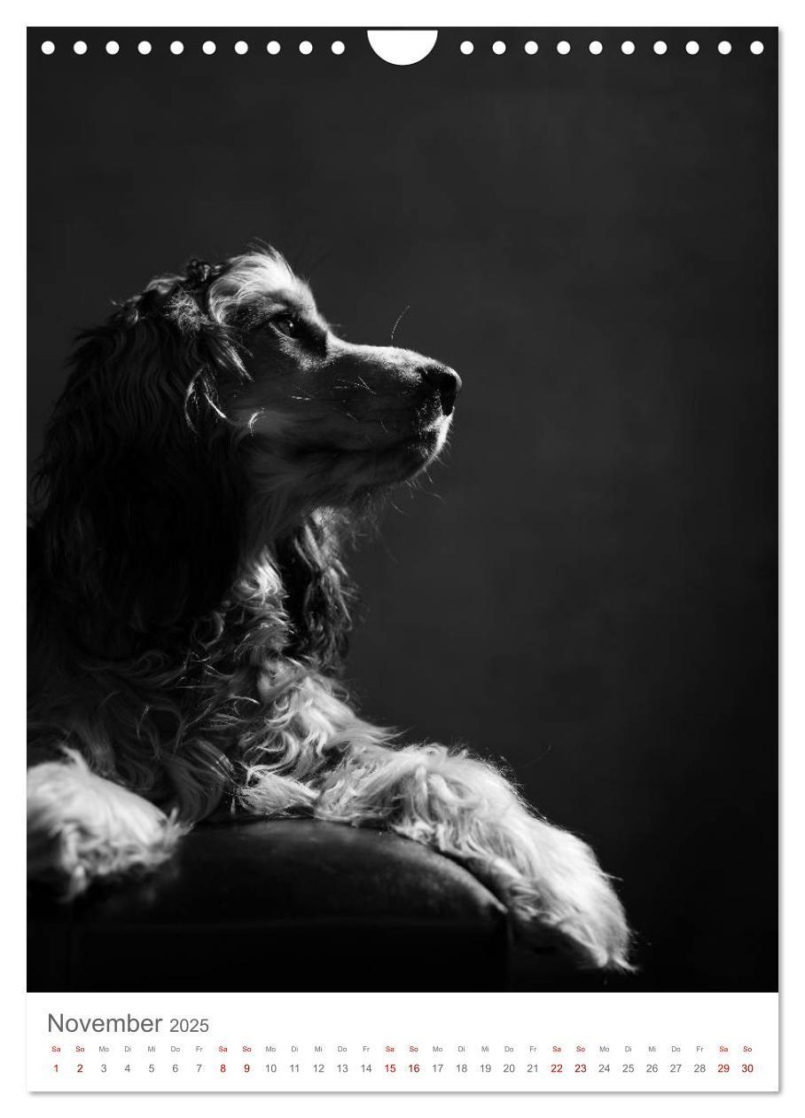 Bild: 9783435999491 | Fine Art Hundeportraits (Wandkalender 2025 DIN A4 hoch), CALVENDO...