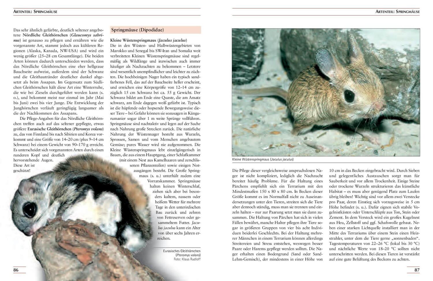 Bild: 9783866594982 | Kleinsäuger im Terrarium | Biologie - Haltung - Zucht | Ehrlich | Buch