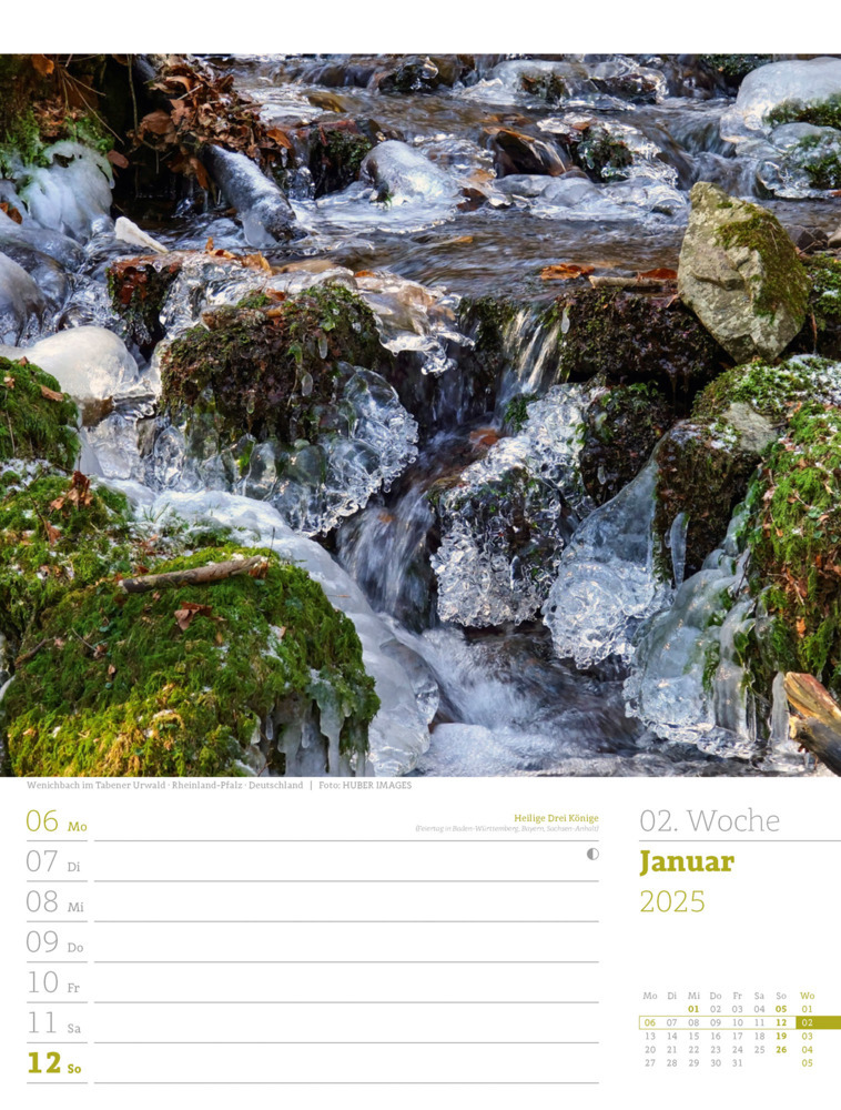 Bild: 9783838425979 | Unser Wald - Wochenplaner Kalender 2025 | Ackermann Kunstverlag | 2025