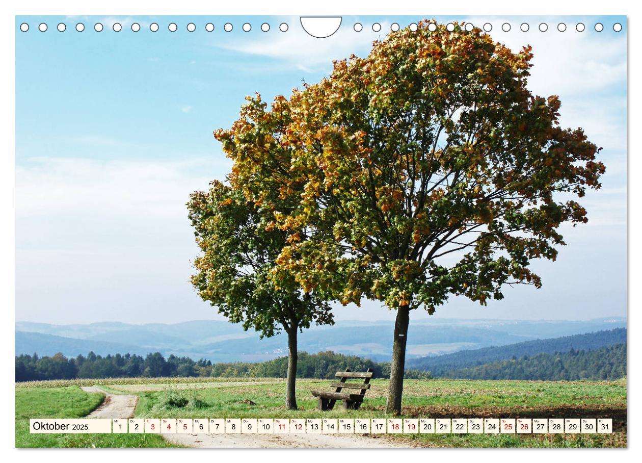 Bild: 9783435222698 | Viele Wege - ein Ziel Wandern im Odenwald (Wandkalender 2025 DIN A4...