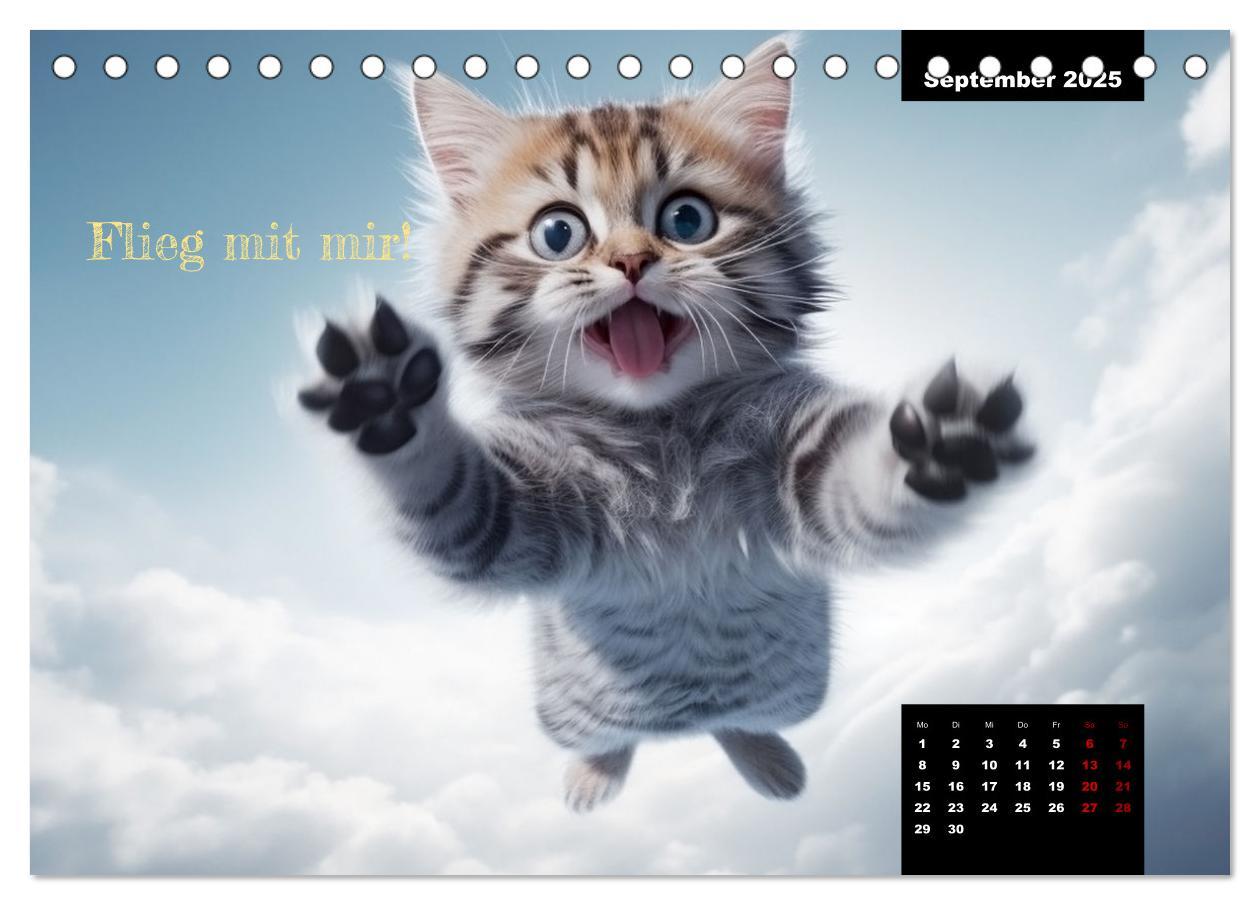 Bild: 9783383837753 | Katzen können alles, außer traurig. (Tischkalender 2025 DIN A5...