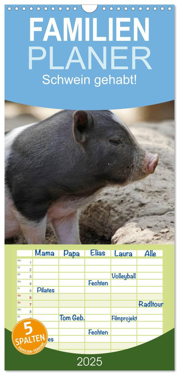 Cover: 9783457124741 | Familienplaner 2025 - Schwein gehabt! mit 5 Spalten (Wandkalender,...