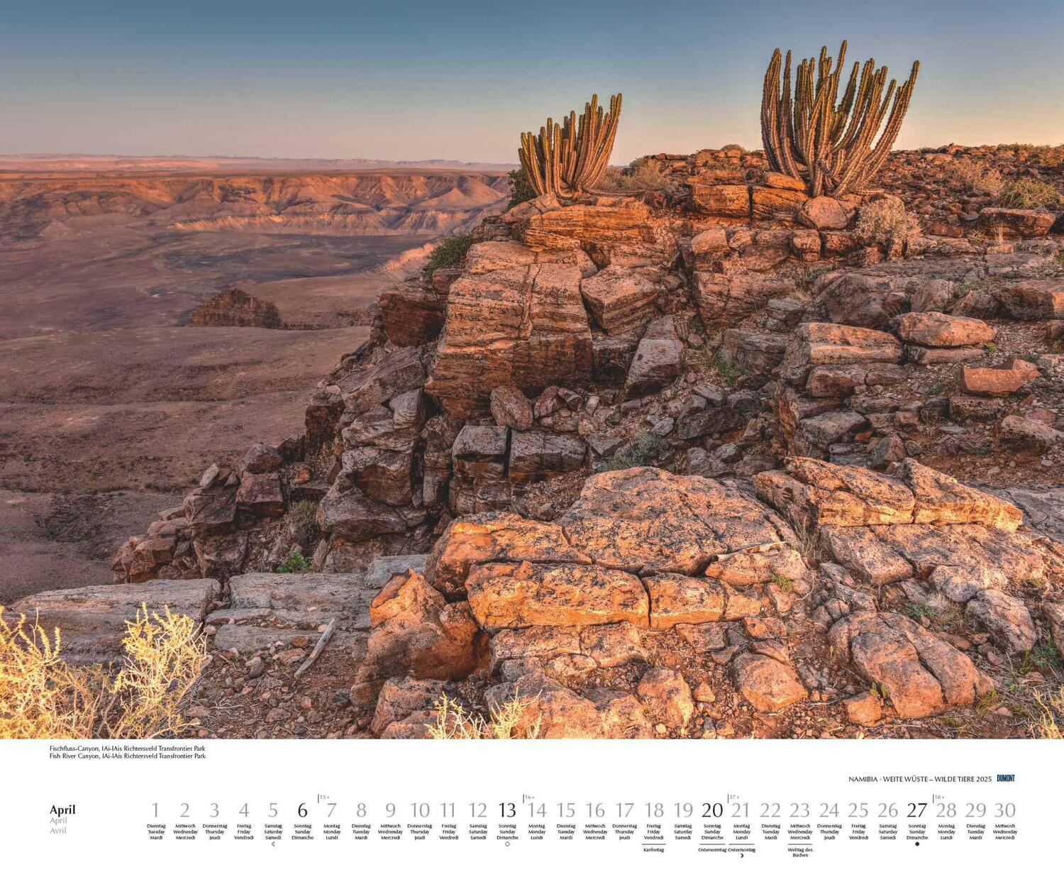 Bild: 4250809653761 | Namibia 2025 - Foto-Kalender - Poster-Kalender - 60x50 - Wildnis -...