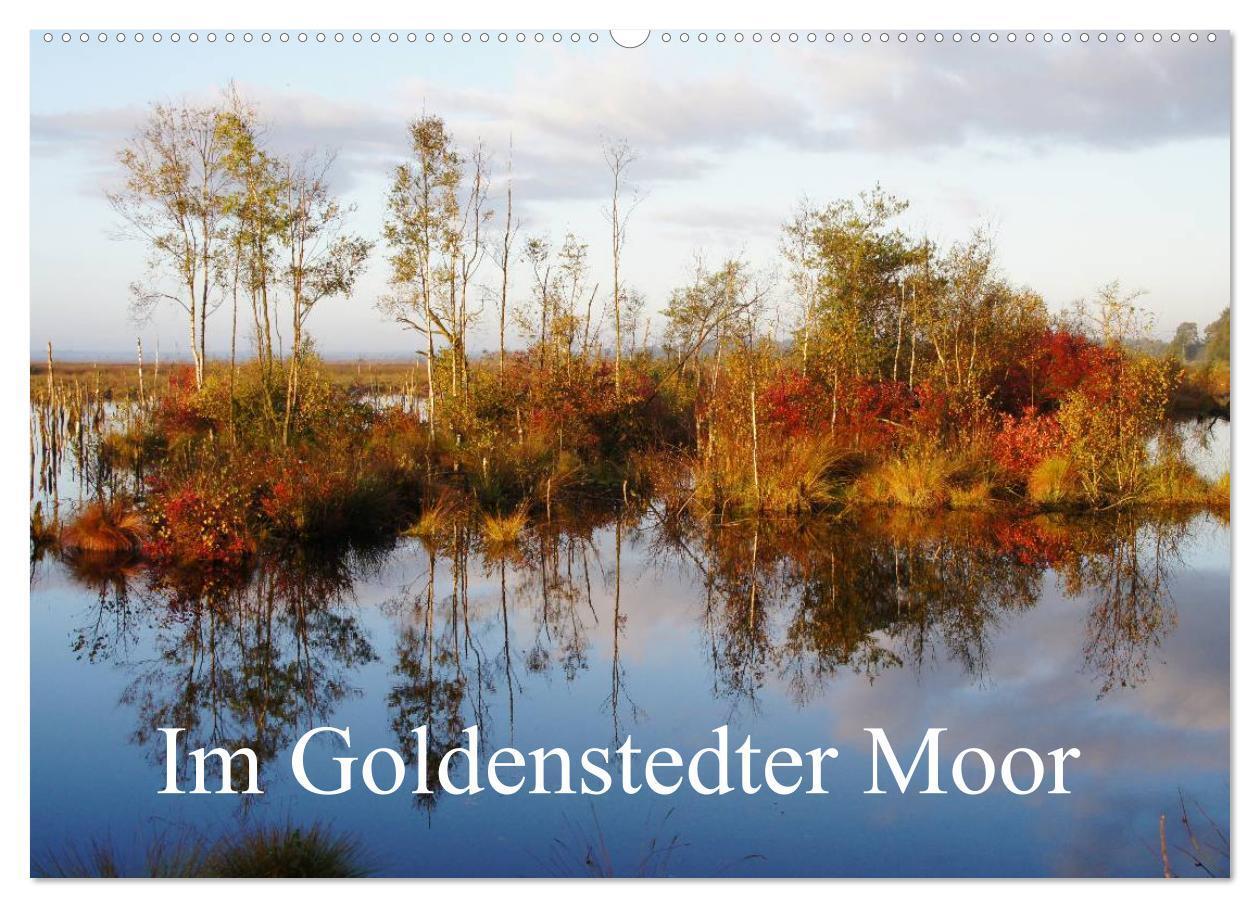 Cover: 9783435566846 | Im Goldenstedter Moor (Wandkalender 2025 DIN A2 quer), CALVENDO...