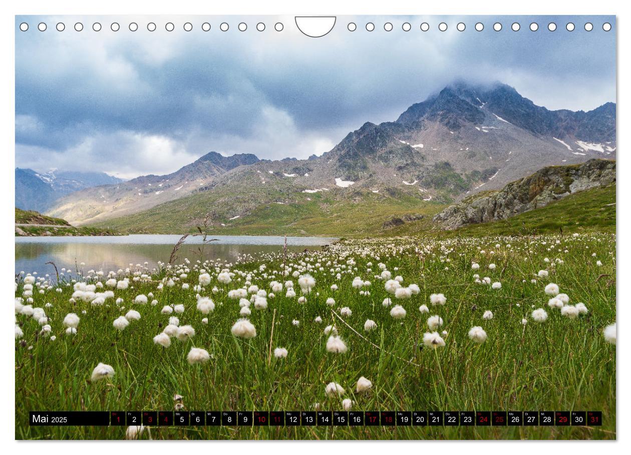 Bild: 9783383932168 | Vinschgau &amp; Ortleralpen (Wandkalender 2025 DIN A4 quer), CALVENDO...