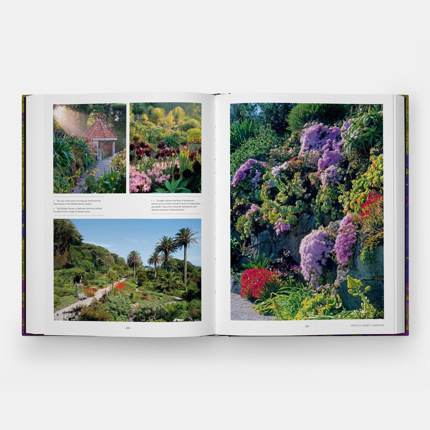 Bild: 9781838666347 | The English Gardener's Garden | Phaidon Editors | Buch | Phaidon Press