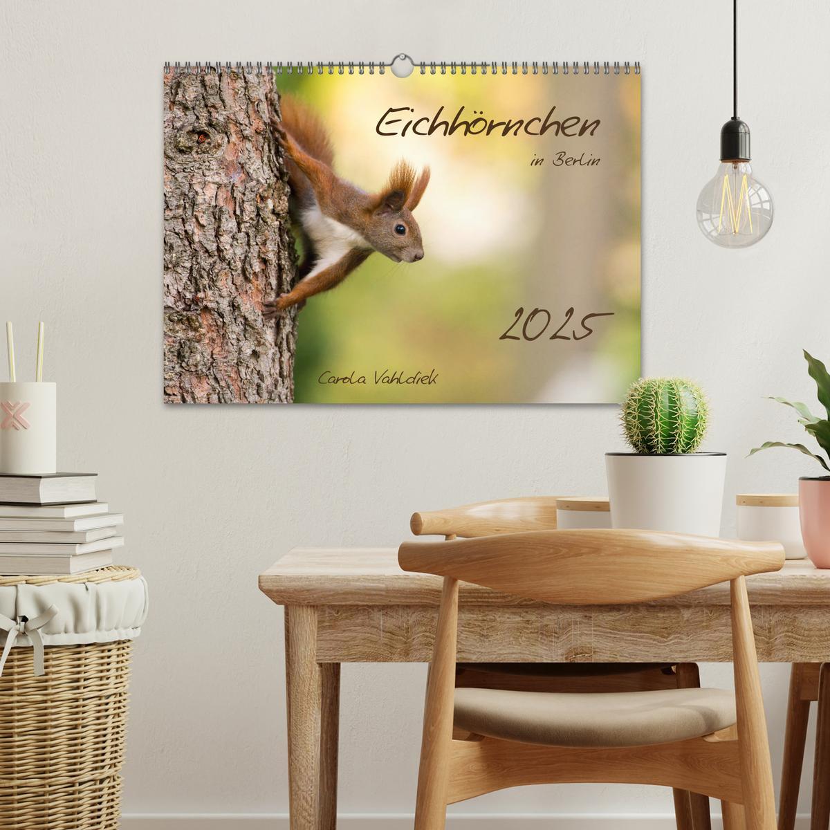 Bild: 9783435174492 | Eichhörnchen in Berlin (Wandkalender 2025 DIN A3 quer), CALVENDO...