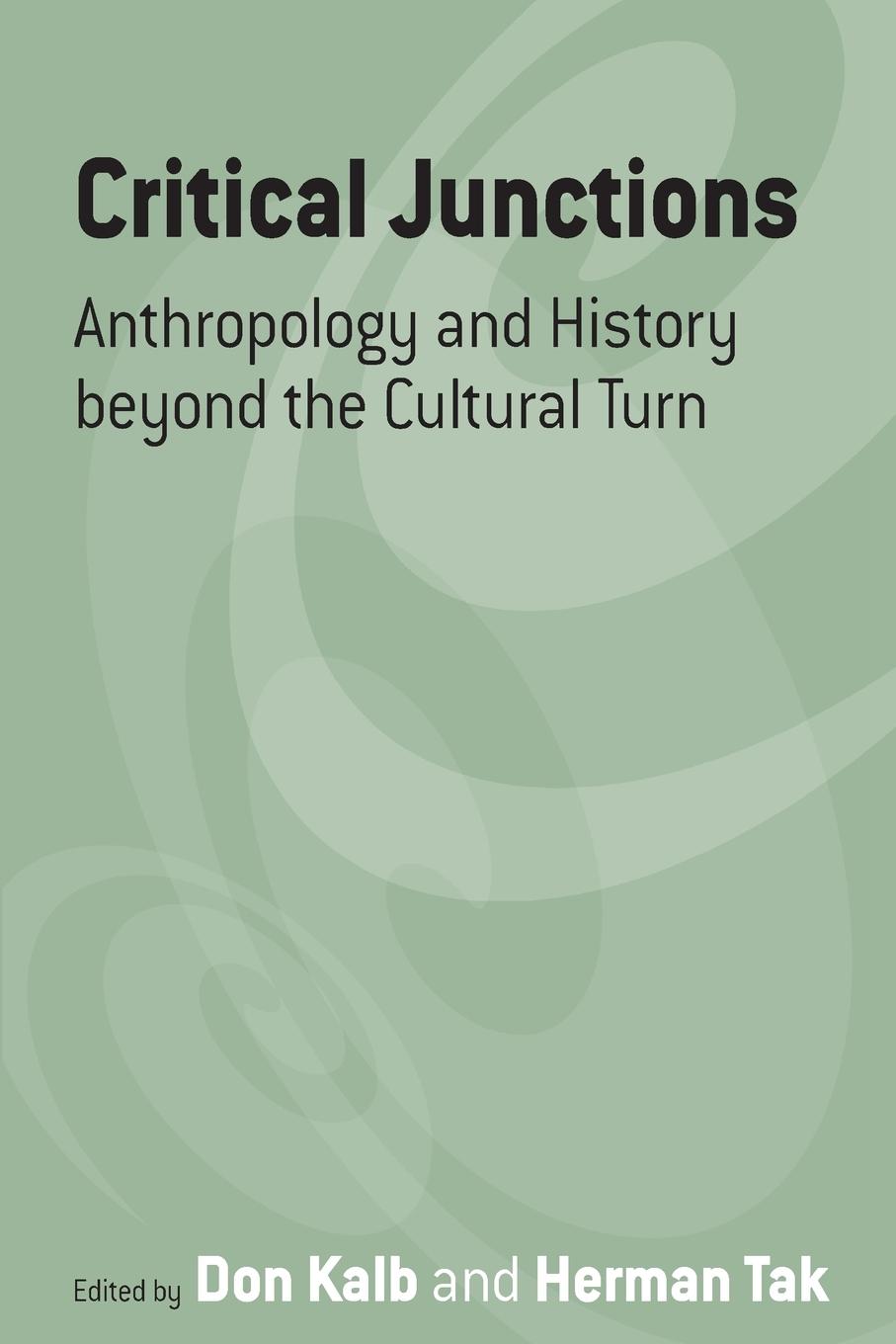 Cover: 9781845450298 | Critical Junctions | Anthropology and History beyond the Cultural Turn