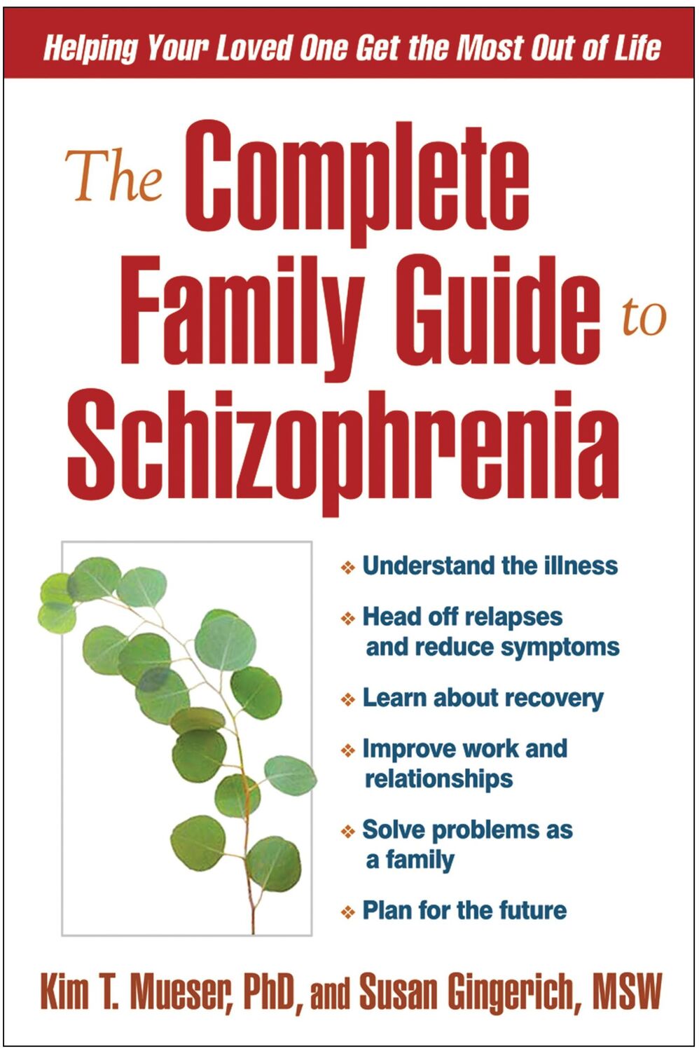 Cover: 9781593851804 | The Complete Family Guide to Schizophrenia | Kim T Mueser (u. a.)