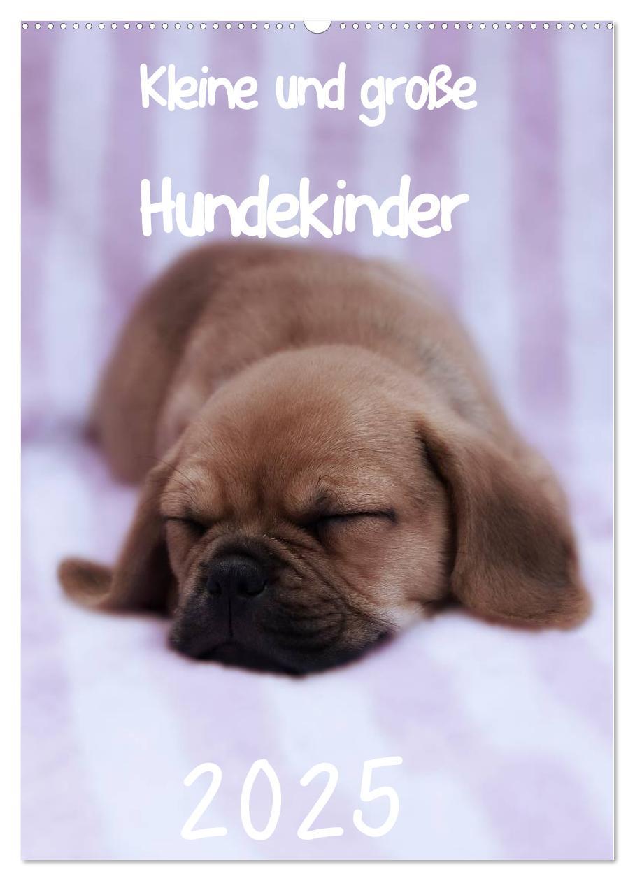 Cover: 9783457061992 | Kleine und große Hundekinder 2025 (Wandkalender 2025 DIN A2 hoch),...