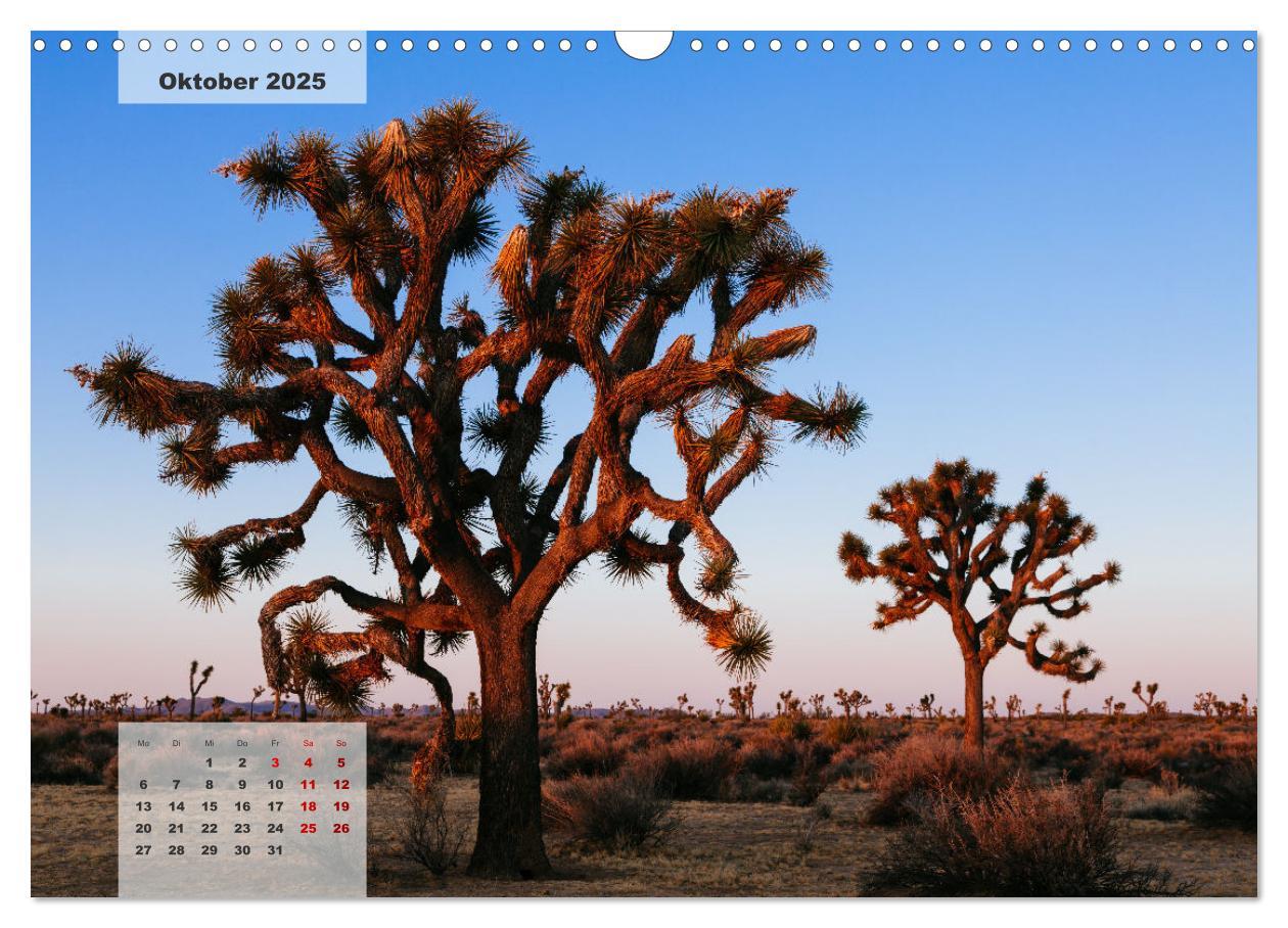 Bild: 9783435041978 | USA Südwesten - Atemberaubende Aussichten (Wandkalender 2025 DIN A3...