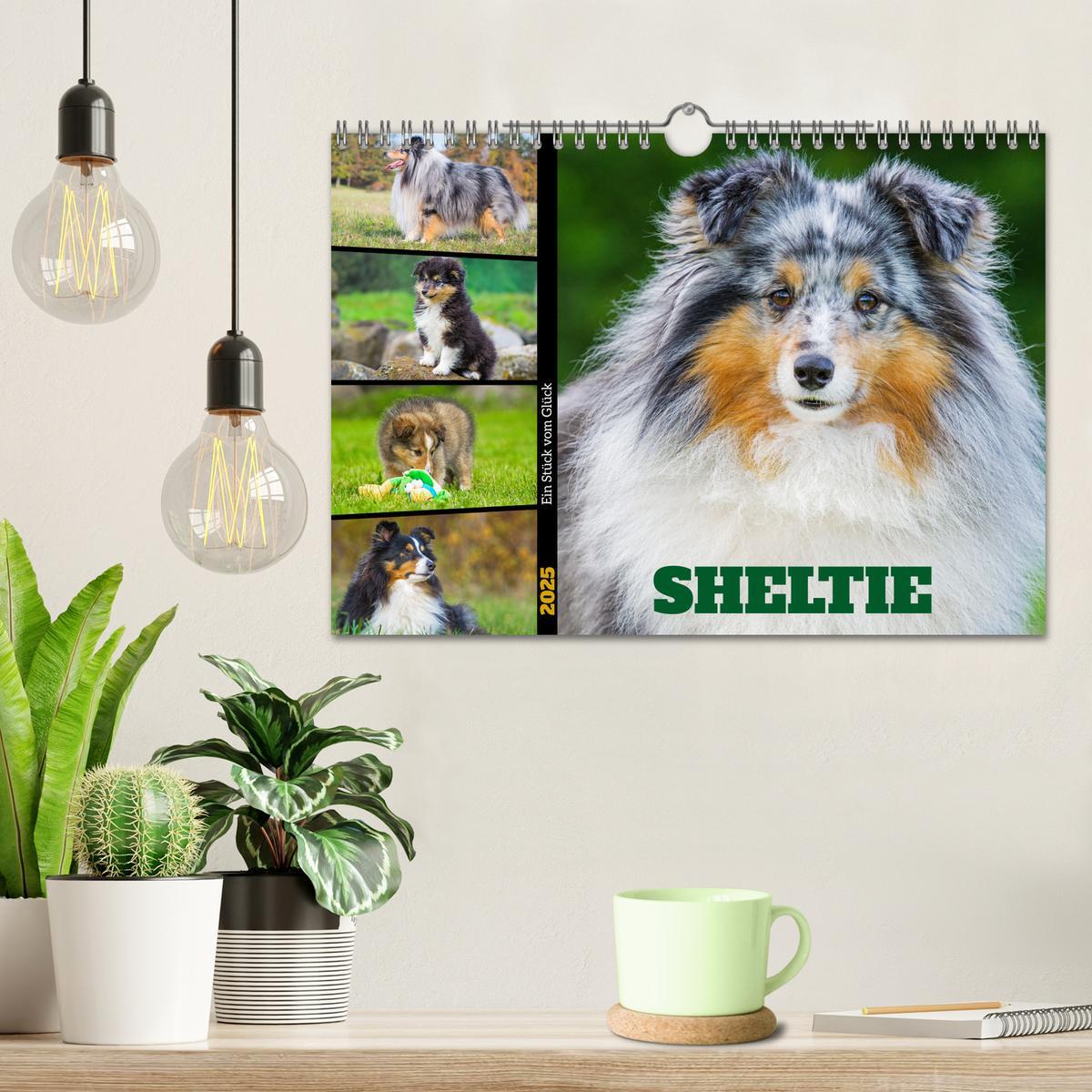 Bild: 9783457169902 | Sheltie - Ein Stück vom Glück (Wandkalender 2025 DIN A4 quer),...