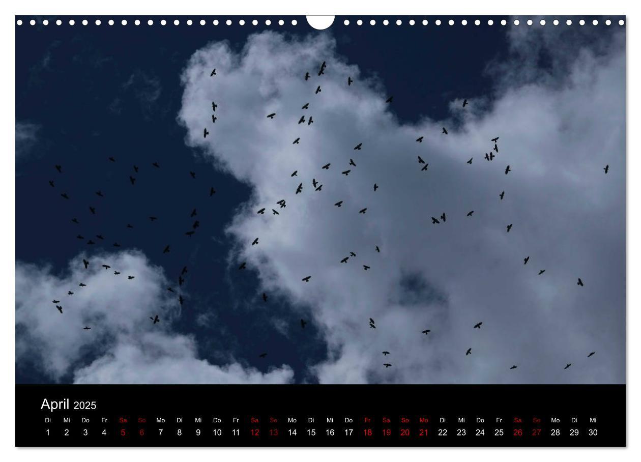 Bild: 9783435416806 | Wolken. (Wandkalender 2025 DIN A3 quer), CALVENDO Monatskalender