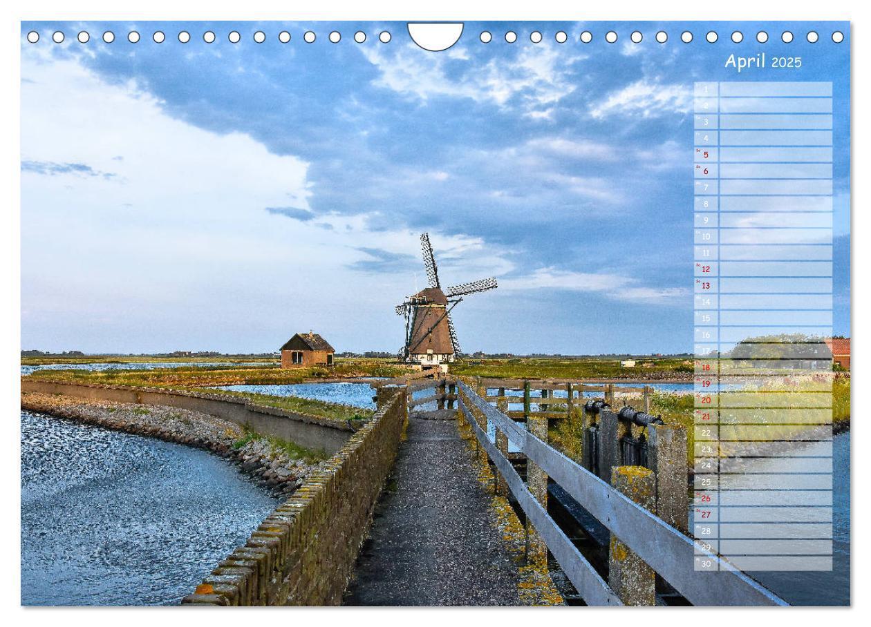 Bild: 9783435359097 | Ein Sommer auf Texel (Wandkalender 2025 DIN A4 quer), CALVENDO...