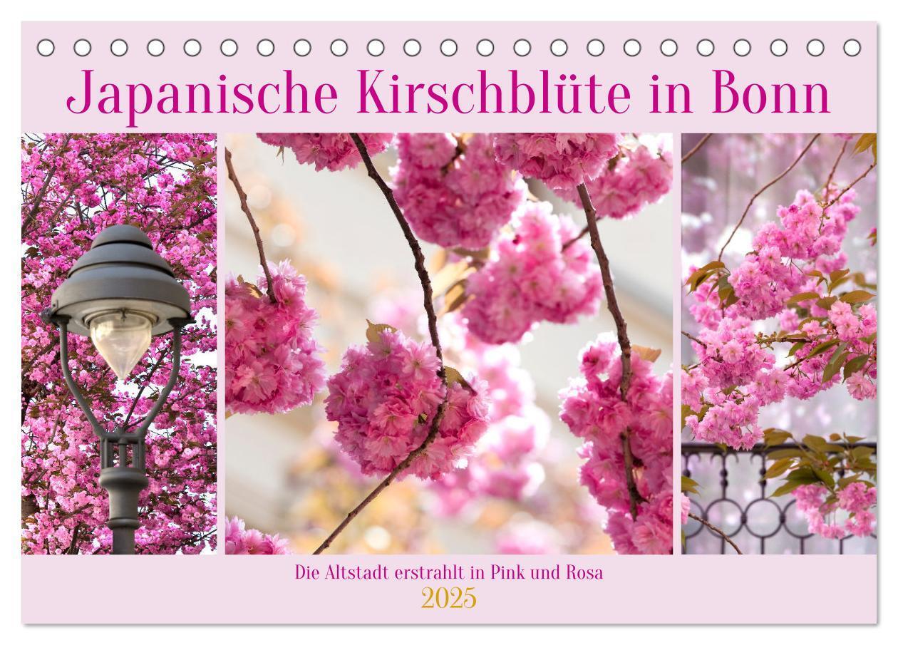 Cover: 9783457127889 | Japanische Kirschblüte in Bonn (Tischkalender 2025 DIN A5 quer),...