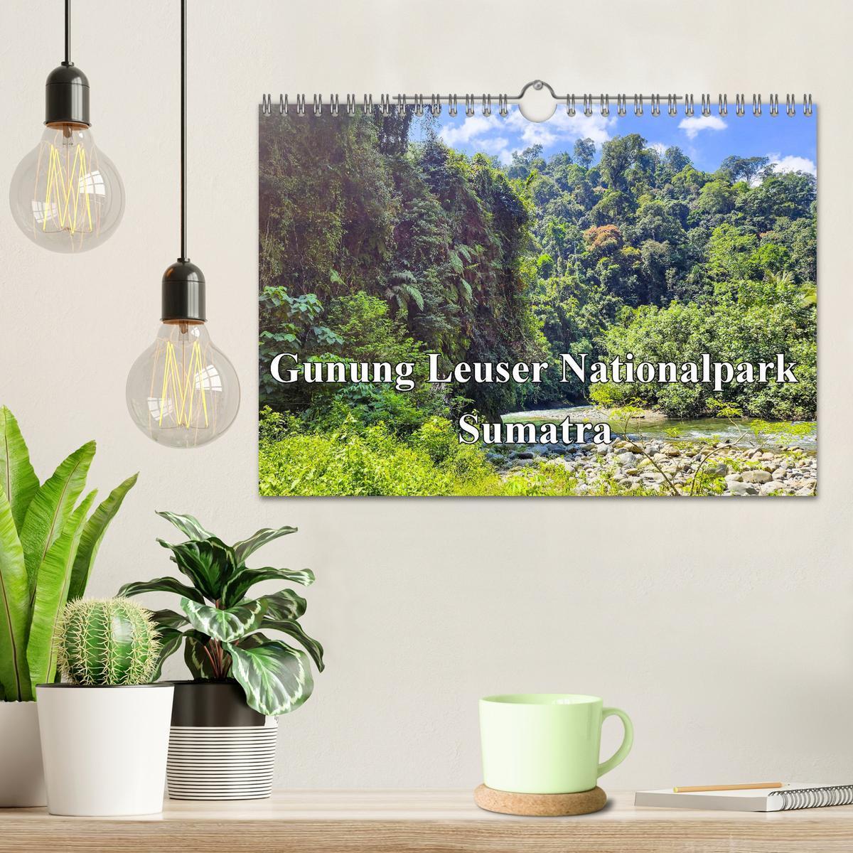 Bild: 9783457151006 | Gunung Leuser Nationalpark Sumatra (Wandkalender 2025 DIN A4 quer),...