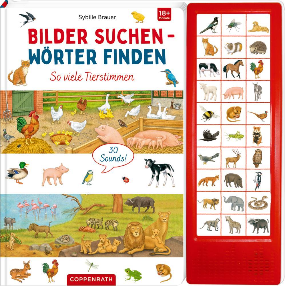 Cover: 9783649635208 | So viele Tierstimmen | Sybille Brauer | Buch | 12 S. | Deutsch | 2020